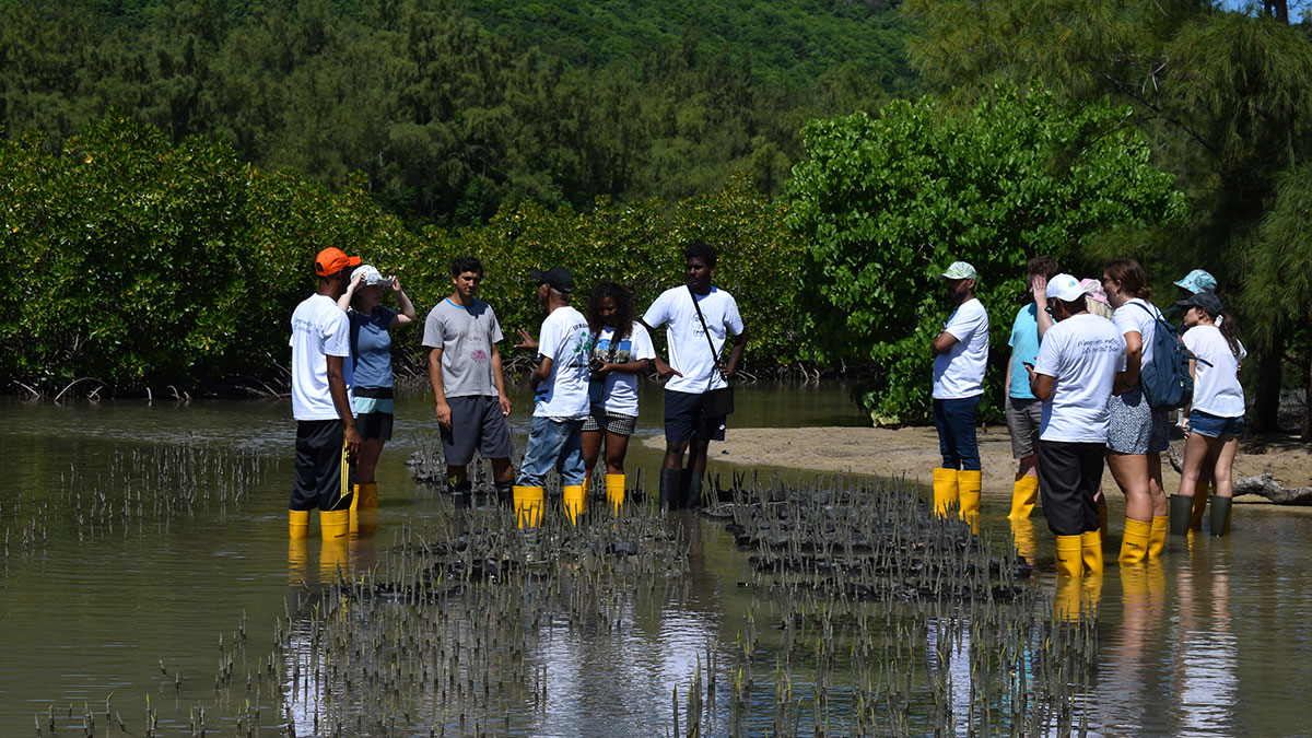 Reef Conservation lance une application pour sauver les mangroves avec le soutien financier de MOL